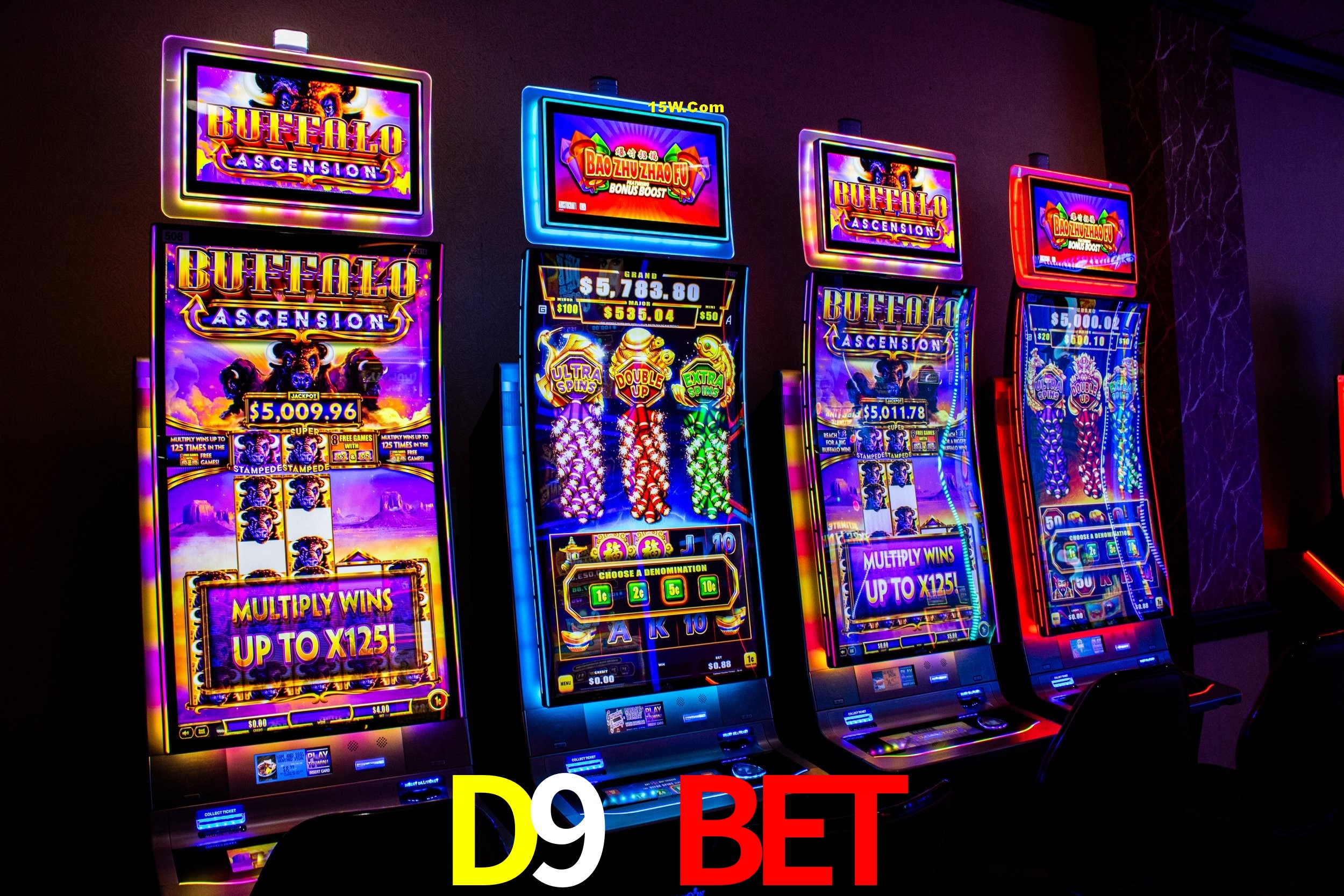 Statistics D9 Bet