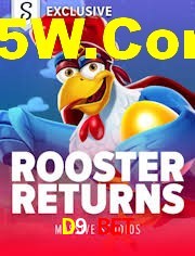 Sports Statistics D9 Bet